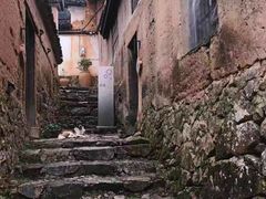 -杨家堂村