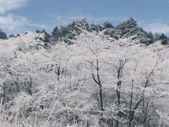 -湖州龙王山景区