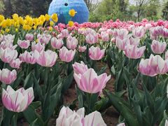 -北京国际鲜花港