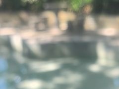 -碧水湾温泉