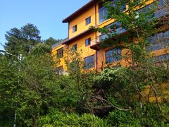 -铁山坪森林公园