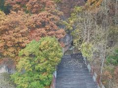 -驼梁风景区