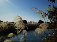 -良渚古城遗址公园