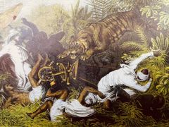 -武吉知马自然保护区