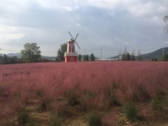 -羊亭河湿地公园