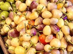 -阿山卓·野生菌火锅·纳西火塘烤肉