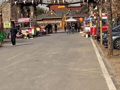 -呀路古热带植物园-恐龙馆