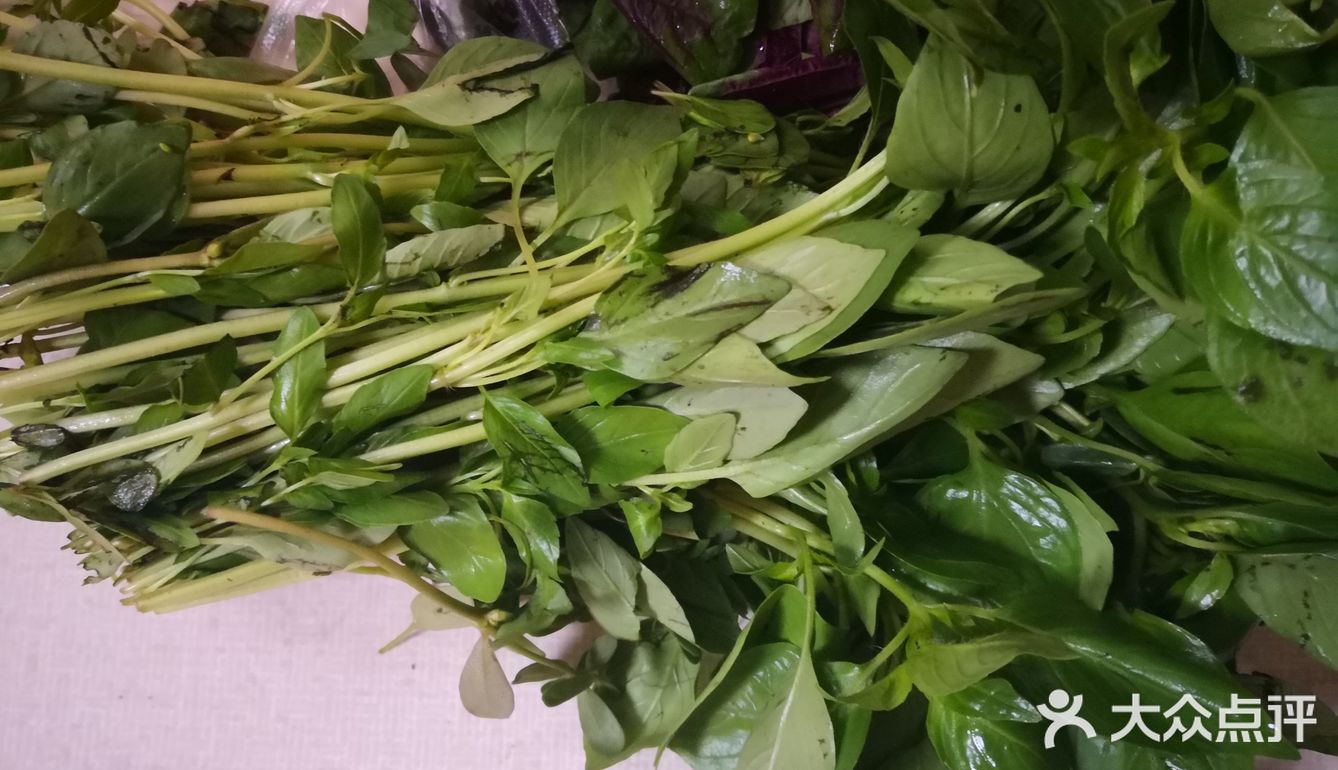 家常凉拌菜系之超好吃的黄瓜拌荆芥