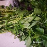 家常凉拌菜系之超好吃的黄瓜拌荆芥