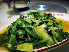 -新概念来凤鱼(璧山店)