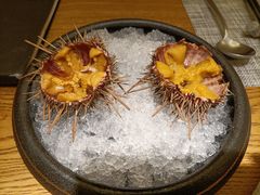 -乐亭日本料理(彩虹本店)