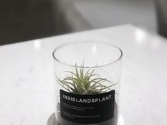 -Fridi Patisserie Cafe