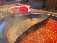 -蜀大侠火锅(总府路店)