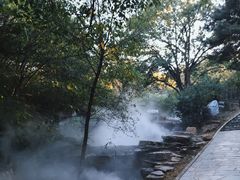 -北京西山国家森林公园