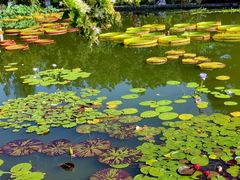 -国家植物园南园