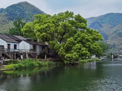 -鹿亭中村
