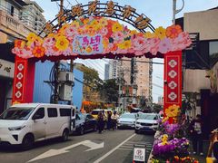 -溪岸路花鸟市场