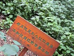 -寂照庵