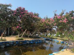 -武汉紫薇都市田园