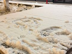 -柏林舍讷费尔德机场