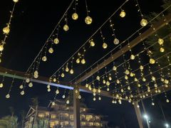 -亚龙湾希尔顿自助餐厅·海鲜·烧烤·沙滩BBQ·现场乐队