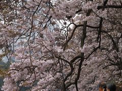 -红星桥(地铁站)