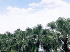 -重庆海昌加勒比海水世界