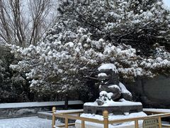 -颐和园