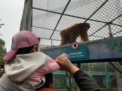 -西安秦岭野生动物园