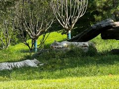 -北京野生动物园