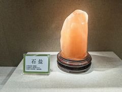 -北京中医药大学-中医药博物馆