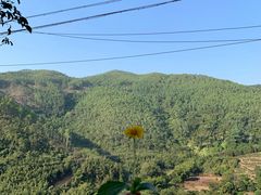 -象头山国家级自然保护区