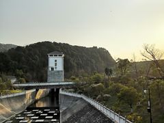 -午潮山国家森林公园