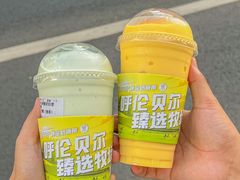 -茉酸奶(春熙路店)