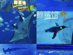 -珠海长隆海洋王国