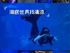 -太平洋海底世界