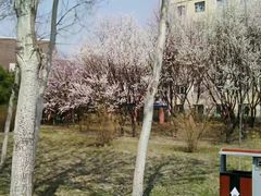 -长春公园(普阳街道)