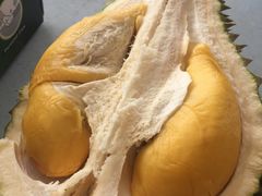 -都念榴莲·城市榴莲