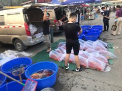-中环花鸟鱼虫市场