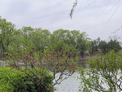 -济南大明湖景区