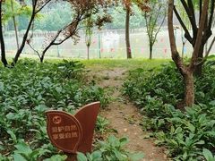-仁和公园(顺义区)
