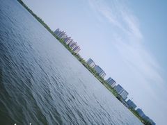-瑶湖郊野森林公园