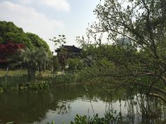 -花溪公园