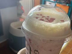 -星巴克(北京惠新东街店)