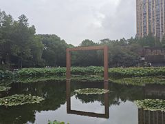 -陈家山荷花公园