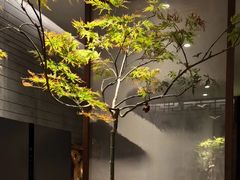 -王府茶楼茶宴·创意菜(朝阳公园店)