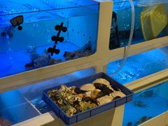 -质烤烤物·活烤海鲜(质烤总店)