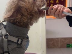 -美联众合24小时·皮肤科·外科·全科诊疗中心(华苑分院)
