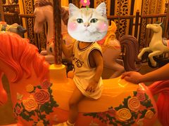 -苏州乐园森林水世界