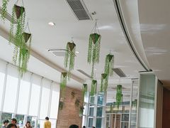 -亚特兰蒂斯-番红花海鲜自助餐厅·鲜活海鲜·小火锅